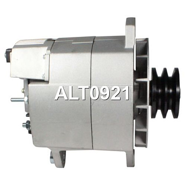 Генератор cо шкивом 2 ручья Motorherz ALT0921WA